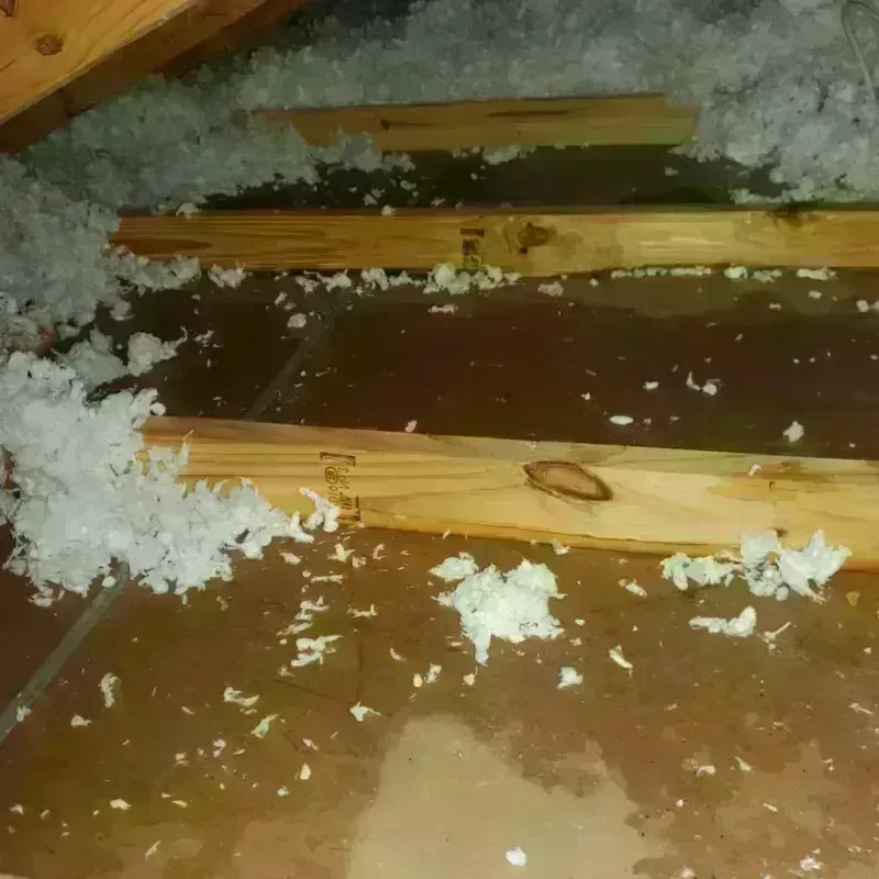 Attic Water Damage in Morrow, GA